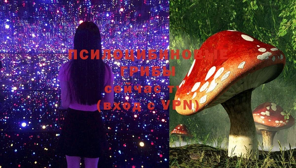 дмт Волосово
