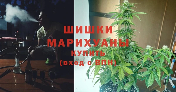 ПСИЛОЦИБИНОВЫЕ ГРИБЫ Володарск